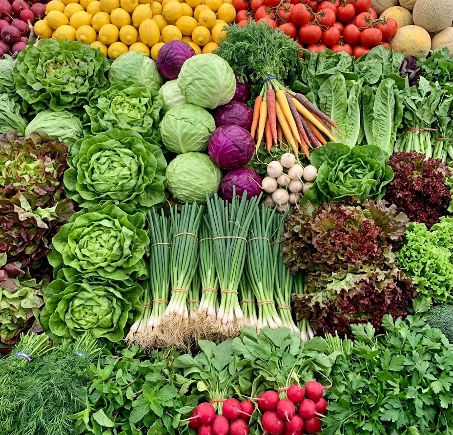 An abundant farmers market stall stacked with fresh lettuces, greens, radishes, lemons, and tomatoes